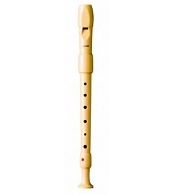Музыкальный инструмент Hohner B9516  немецкая система пластик 2 части