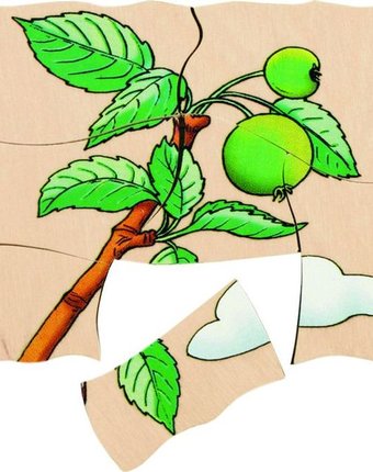 Миниатюра фотографии Пазл beleduc деревянный яблоко
