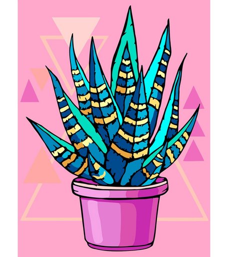 Набор для раскрашивания по номерам ФРЕЯ Суккулент