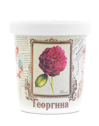 Набор для выращивания Георгина цвет: белый RostokVisa