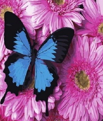 Миниатюра фотографии Paintboy картина по номерам бабочка на цветах