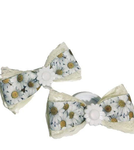 Бант 1000 bantov