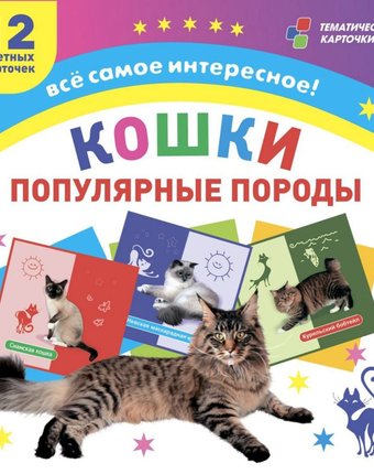 Миниатюра фотографии Карточки издательство учитель кошки. популярные породы
