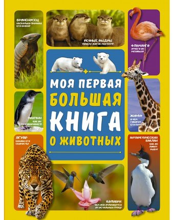 Издательство АСТ Моя первая большая книга о животных