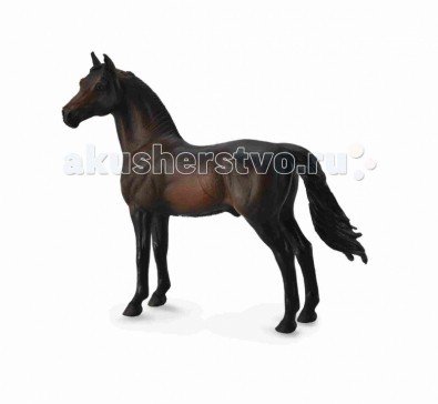 Collecta Фигурка Жеребец Морган XL