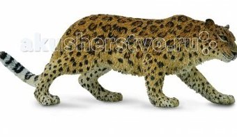 Миниатюра фотографии Collecta фигурка амурский леопард xl