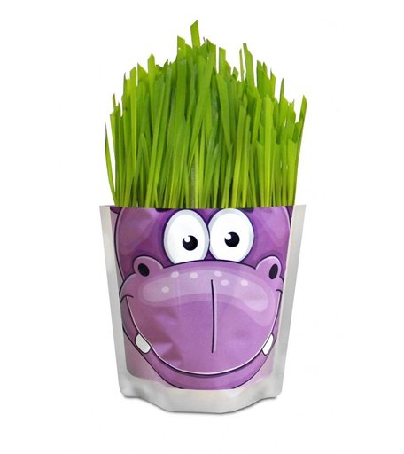 Набор для выращивания Сафари Бегемот Happy Plant