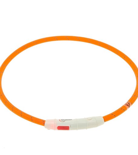 Каскад Ошейник светящийся с USB-зарядным устройством
