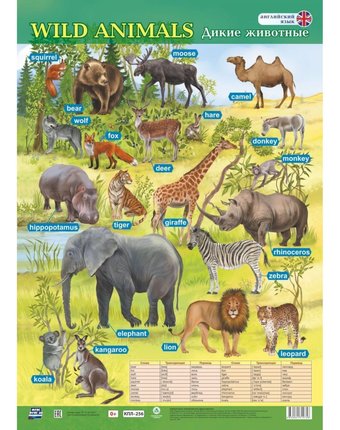 Плакат Издательство Учитель Английский язык. Дикие животные
