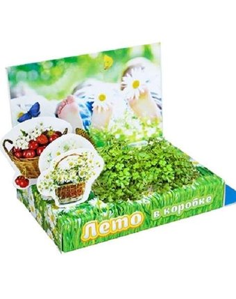 Набор для выращивания Живая открытка Лето в коробке Happy Plant