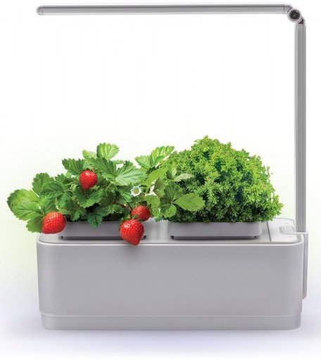 Назад к истокам Компактный смарт-сад iGarden LED с подсветкой