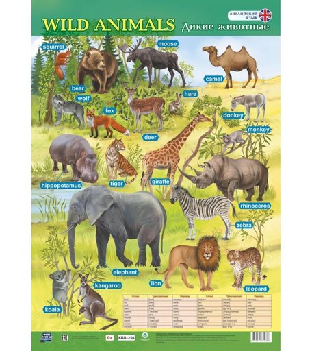 Плакат Издательство Учитель Английский язык. Дикие животные