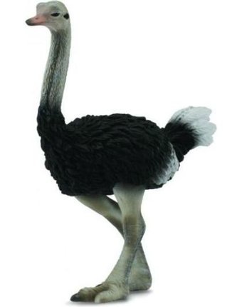 Миниатюра фотографии Фигурка collecta страус 9 см