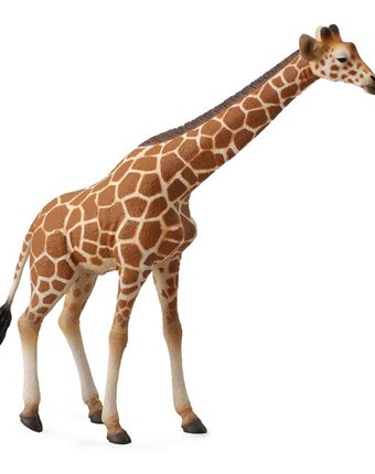 Миниатюра фотографии Collecta фигурка сетчатый жираф 16 см